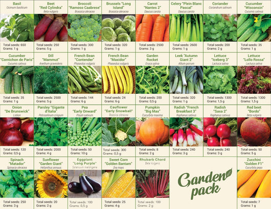 Grand Seed Growing Kit - 30 Vegetable Seeds Varieties