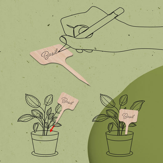 Bamboo Plant Markers